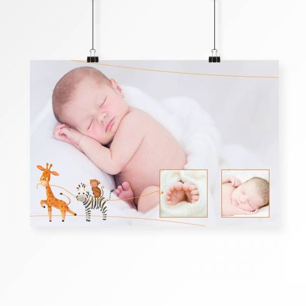Collage mit Babybildern und Wildtier-Motiv